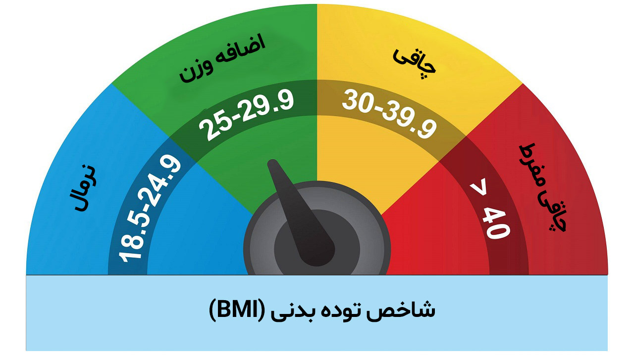 شاخص توده بدنی