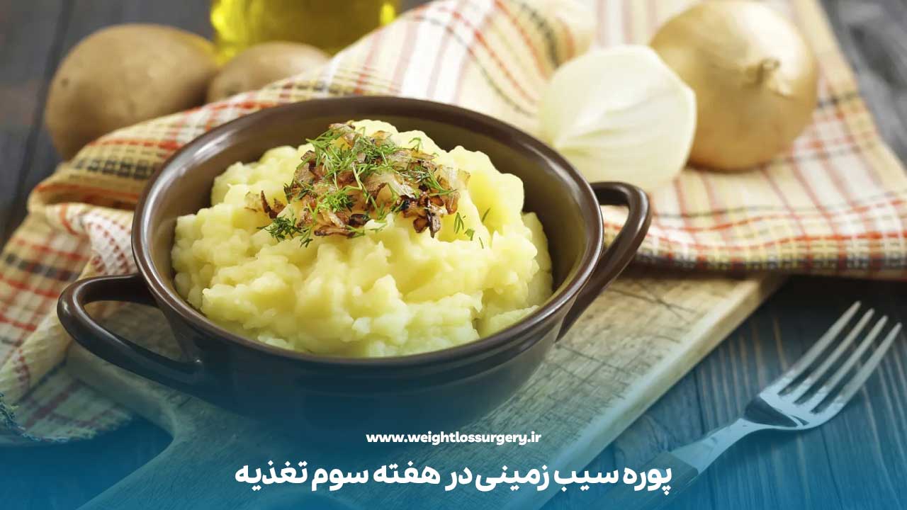 مصرف پوره سیب زمینی در هفته سوم تغذیه اسلیو معده