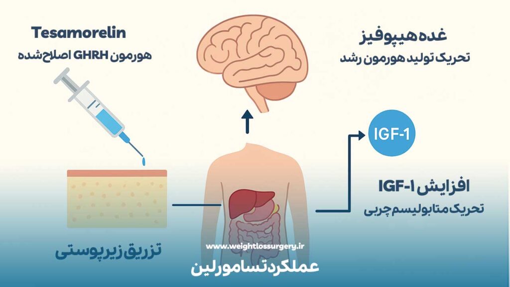 نحوه عملکرد آمپول  tesamorelin